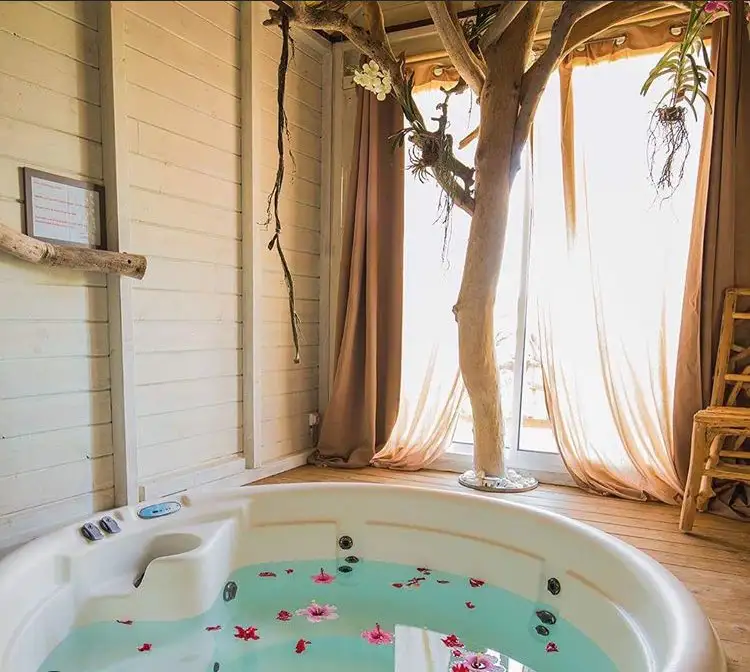 img-ecolodge-jardin-eden