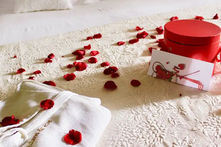 img-ecolodge-jardin-eden